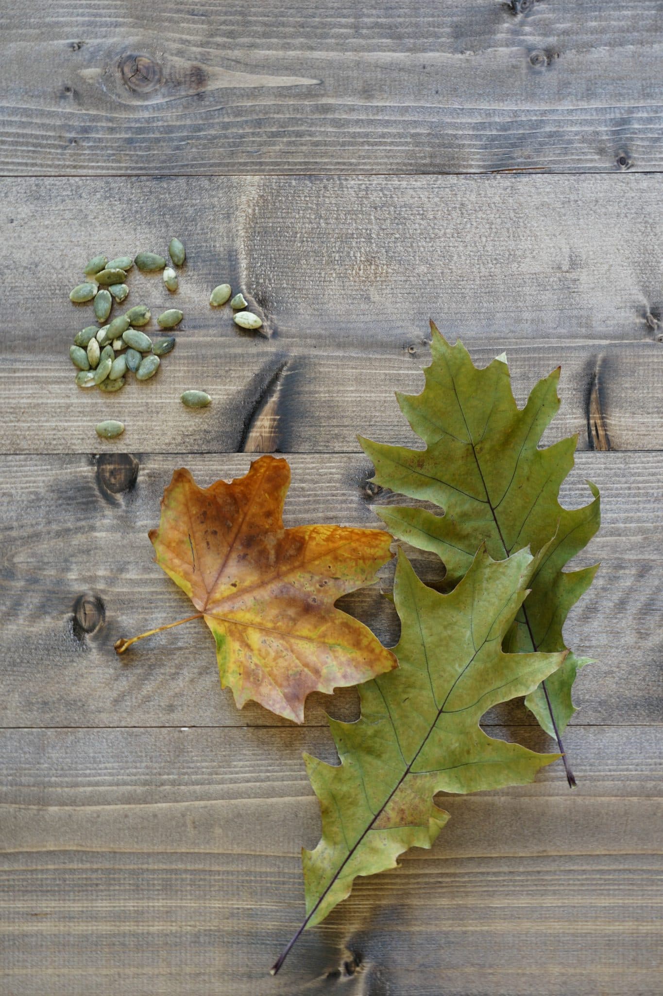 Autumn soup